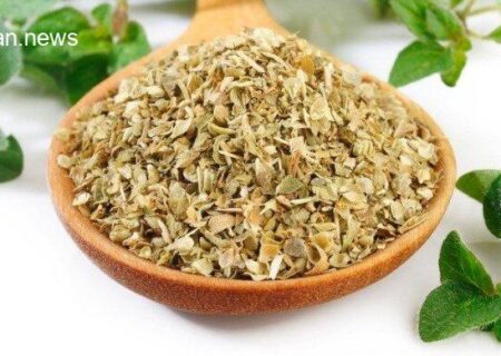 همه چیز درباره ادویه اورگانو و فواید شگفت‌انگیز آن