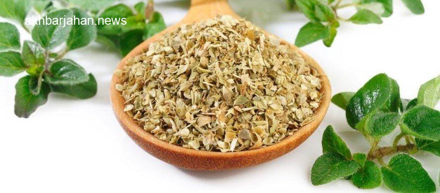 همه چیز درباره ادویه اورگانو و فواید شگفت‌انگیز آن