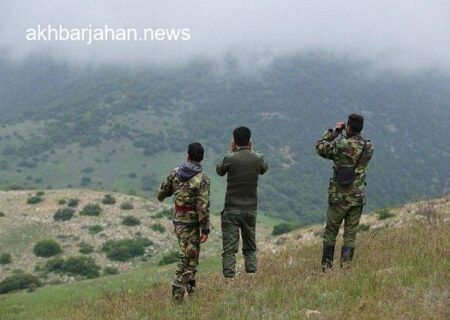 مدادی: تمامی محیط‌بانان، آموزش‌های لازم را گذرانده‌اند