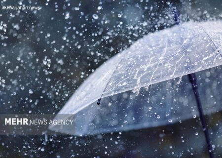 کاهش ۵۴ درصدی بارندگی در استان بوشهر به گفته مدیرعامل آب منطقه‌ای