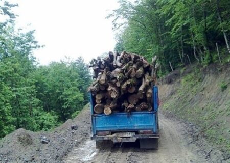 کشف محموله ۲.۵ تنی چوب قاچاق بید در ازنا