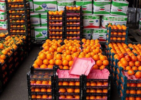 نهایی شدن تدابیر کرمانشاه برای تامین میوه شب عید و خرمای ماه رمضان