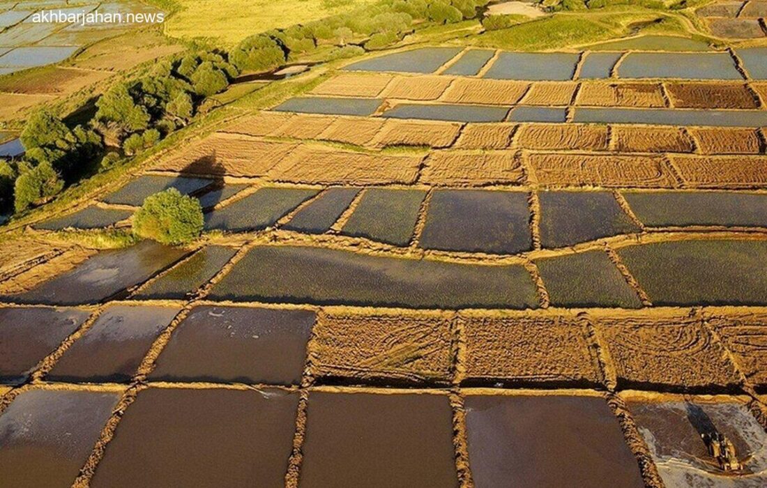 اختصاص ۳۷۰ هکتار از زمینهای ملی گلستان به پروژههای توسعه و انرژی نوین