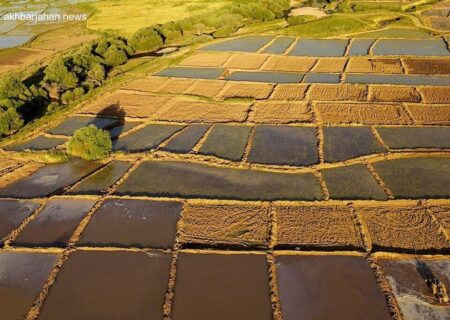 اختصاص ۳۷۰ هکتار از زمین‌های ملی گلستان به پروژه‌های توسعه و انرژی نوین