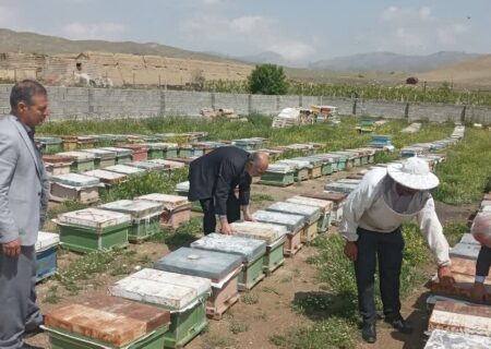 تولید عسل در کهگیلویه و بویراحمد از مرز ۱۳۸۹ تن گذشت