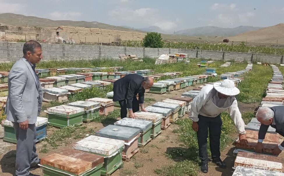 تولید عسل در کهگیلویه و بویراحمد از مرز ۱۳۸۹ تن گذشت