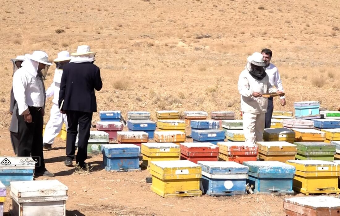 شروع آمارگیری از کندوهای عسل در خراسان جنوبی