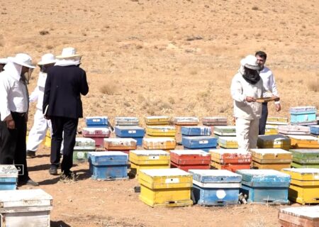 شروع آمارگیری از کندوهای عسل در خراسان جنوبی