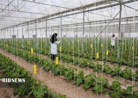 ایجاد 1400 فرصت شغلی جدید در مراغه