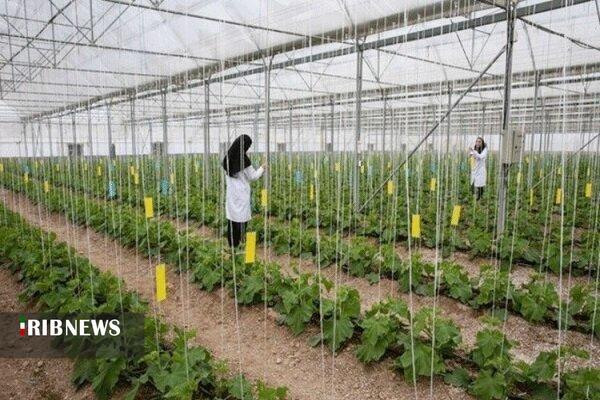 ایجاد 1400 فرصت شغلی جدید در مراغه