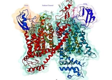 رونمایی از کتاب «نوروتوکسین‌های زهر عقرب و کانال‌های یونی» در موسسه رازی