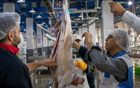 انهدام ۲ تُن اجزای حرام و غیر بهداشتی دامی در دزفول