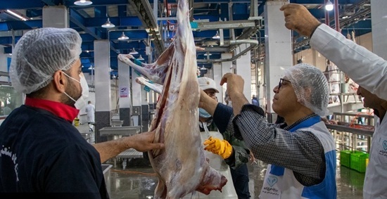 انهدام ۲ تُن اجزای حرام و غیر بهداشتی دامی در دزفول