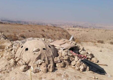 آغاز طرح ضربتی مقابله با صید و قاچاق پرندگان شکاری