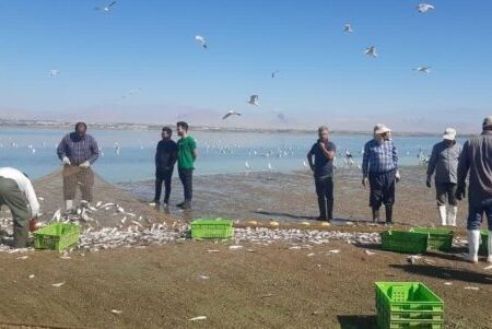 پیش‌بینی برداشت ۲۰ هزار تن انواع ماهی از آب‌های آذربایجان‌غربی