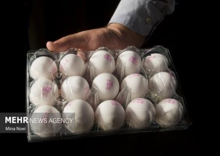 سختی معیشت کمر مردم را خم کرد؛ افزایش افسارگسیخته قیمت‌ها در سمنان