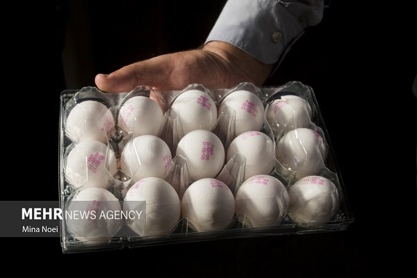 سختی معیشت کمر مردم را خم کرد؛ افزایش افسارگسیخته قیمتها در سمنان