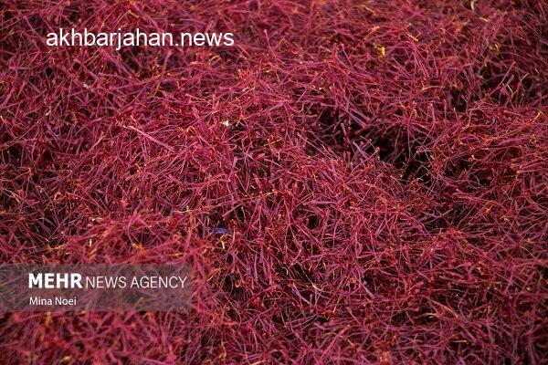 کبیر: مشهد میزبان دومین جشنواره روز ملی زعفران شد