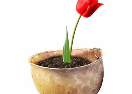 دیدار صمیمانه مسئولان همدان با خانواده شهید والامقام «ناصر واقعی سرشت»