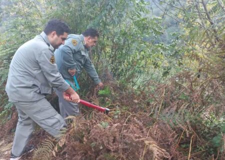 زمین‌های تصرف‌شده گشت رودخان و سیاهمزگی فومن آزاد شد