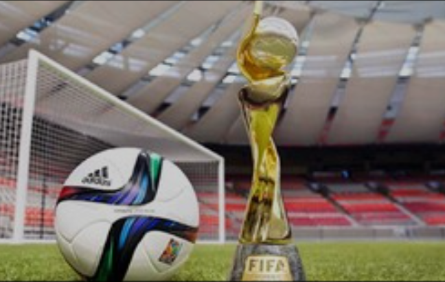 فرانسه و آفریقای جنوبی در جام جهانی فوتبال زیر 20 سال خوش درخشیدند