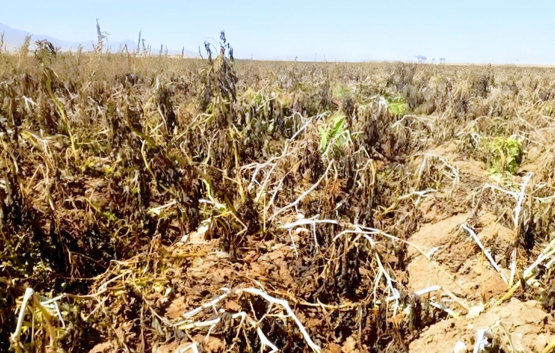 تخصیص بودجه برای اتمام پروژه کمربندی خوانسار