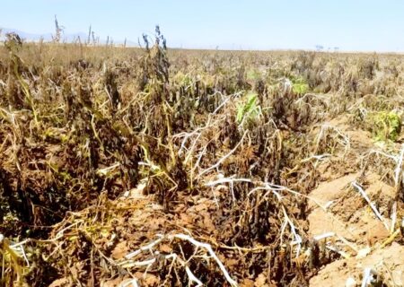 تخصیص بودجه برای اتمام پروژه کمربندی خوانسار