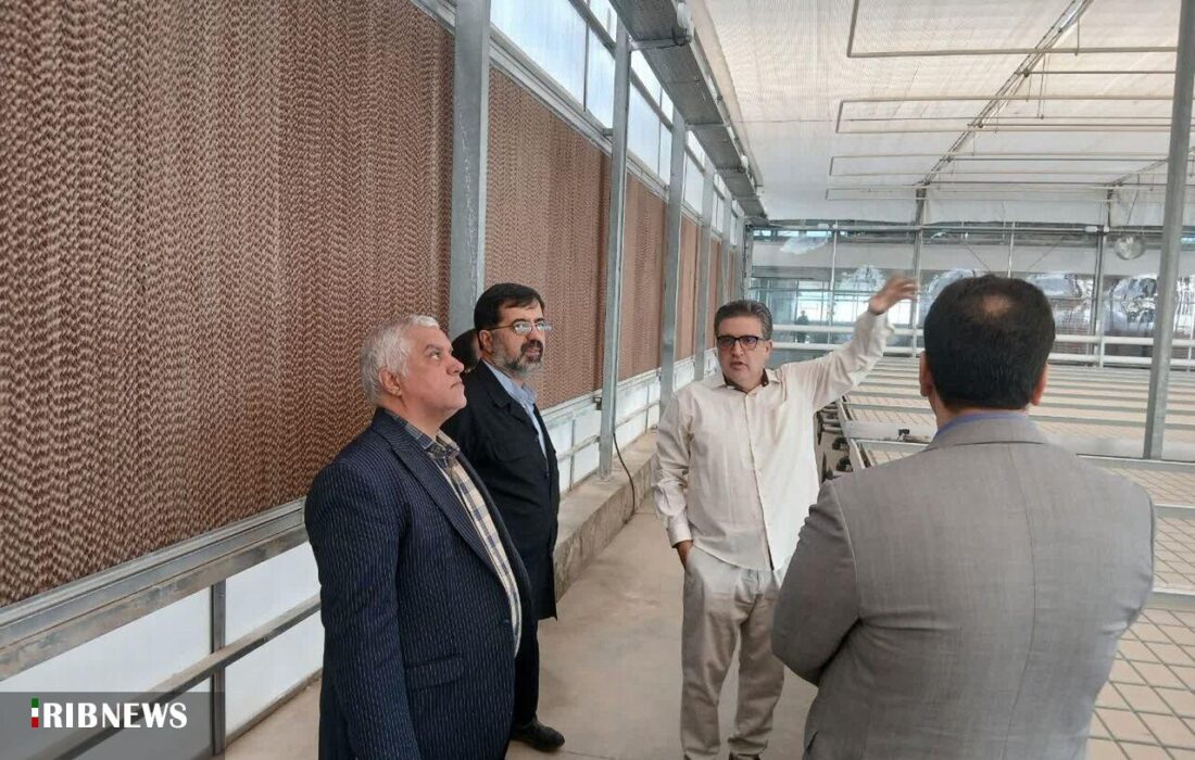 قم صاحب گلخانه هوشمند میشود؛ سرمایهگذاران داخلی و خارجی پای کار