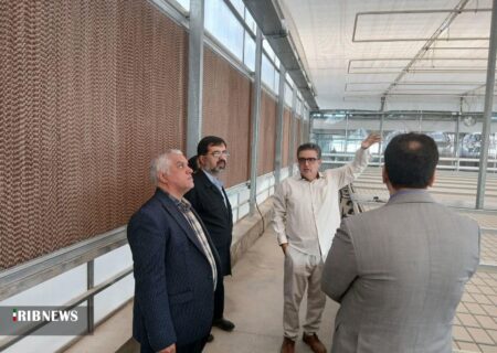 قم صاحب گلخانه هوشمند می‌شود؛ سرمایه‌گذاران داخلی و خارجی پای کار