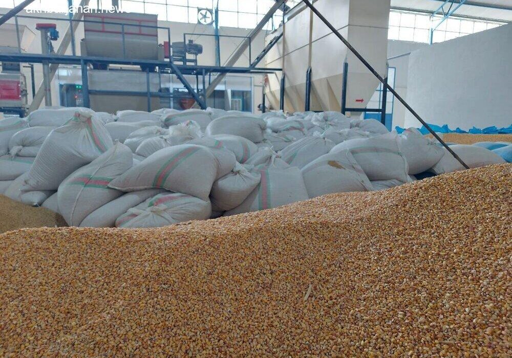 تلاش ۲۳ کارخانه خوراک دام برای رونق تولید در زنجان