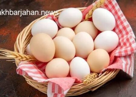 اصفهان، پیشتاز تولید پروتئین و تخم مرغ در ایران