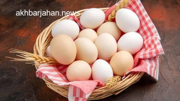 اصفهان، پیشتاز تولید پروتئین و تخم مرغ در ایران