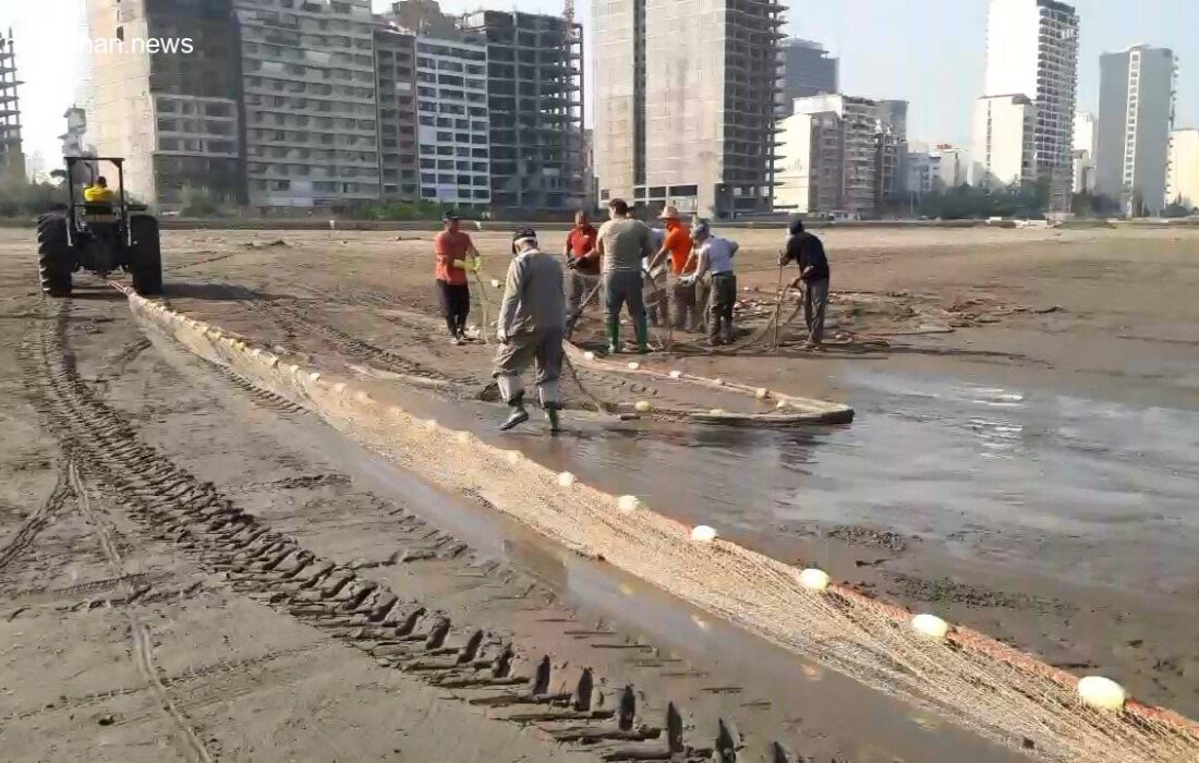 آغاز طرح مشارکتی مدیریت صید ماهی در خزر با بودجه ۱۰۰ میلیارد تومانی