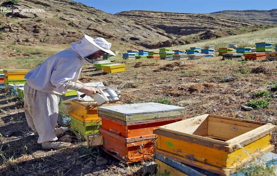 اختتامیه سرشماری کندوهای عسل در تبریز