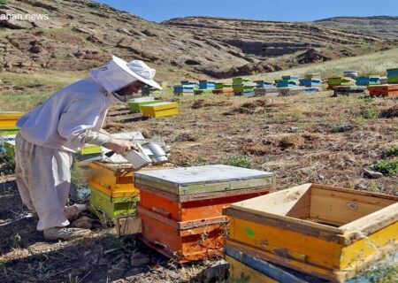 اختتامیه سرشماری کندوهای عسل در تبریز