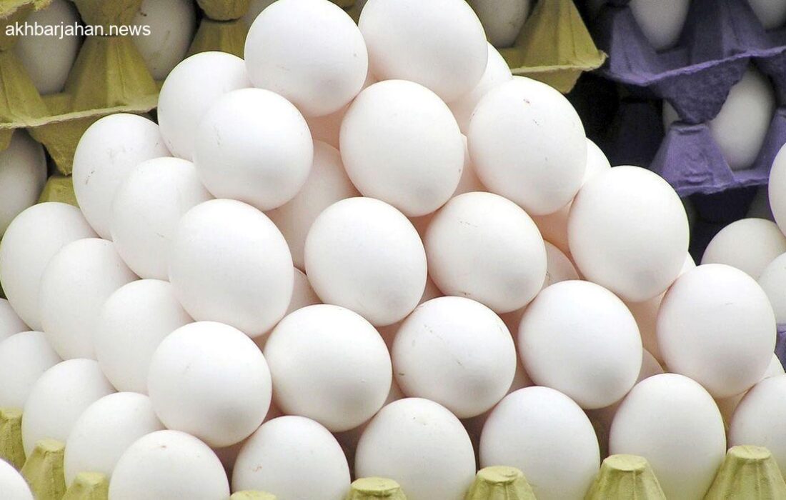 رشد تولید: گناباد سالانه بیش از ۳ هزار تن تخم مرغ تولید میکند