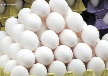 رشد تولید: گناباد سالانه بیش از ۳ هزار تن تخم مرغ تولید می‌کند