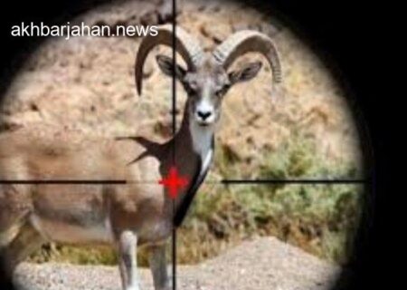 بازداشت شکارچی متخلف در رودان