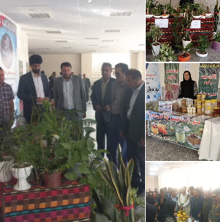 افتتاح غرفه‌های بانوان کارآفرین جهاد کشاورزی در شهرستان لردگان