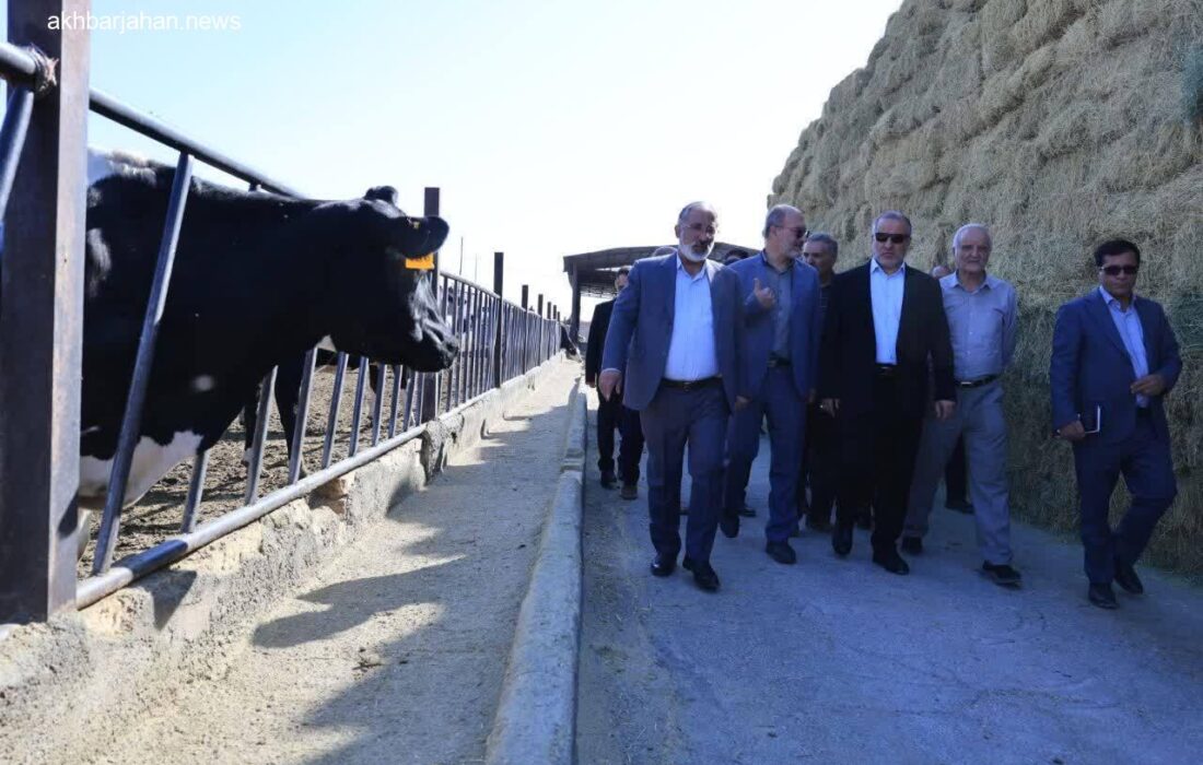 اولویت خراسان جنوبی: تأمین نهادههای دامی