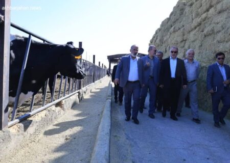 اولویت خراسان جنوبی: تأمین نهاده‌های دامی