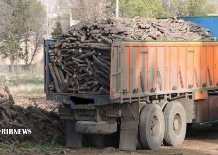 کشف محموله ۲ تنی چوب قاچاق در پلدختر