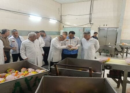 بازدید سرزده شبانه معاون اقتصادی استاندار گلستان از کشتارگاه‌های طیور استان