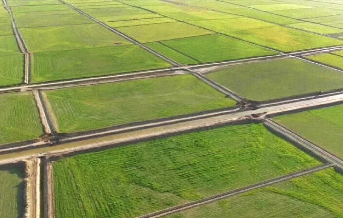 تداخلات اراضی در 137 روستای مراغه رفع می‌شود