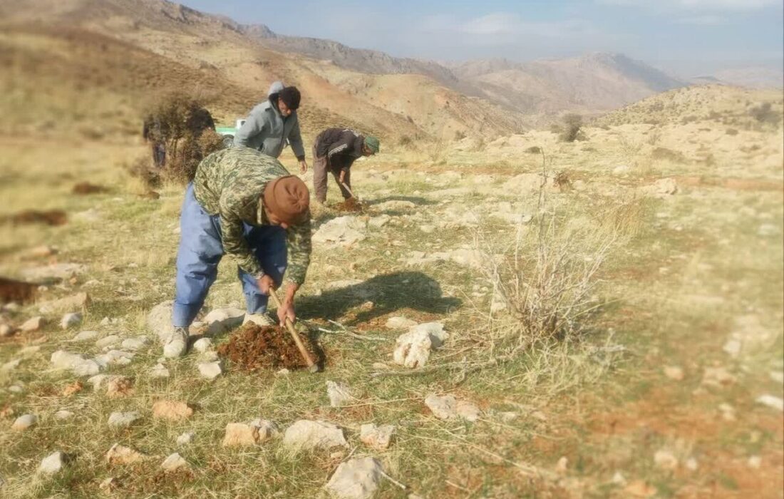 آغاز پویش غنی سازی مراتع با کاشت بذر گیاهی در منطقه شبلیز پاتاوه