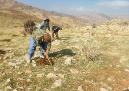 آغاز پویش غنی سازی مراتع با کاشت بذر گیاهی در منطقه شبلیز پاتاوه