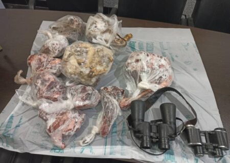 دستگیری شکارچیان متخلف در شهرستان خنج