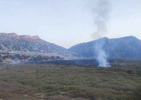 خاموش شدن آتش در تالاب شیمبار اندیکا