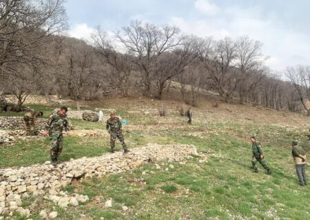 بازپس‌گیری ۲۴۵ هکتار از اراضی ملی در نیمه اول سال ۱۴۰۴