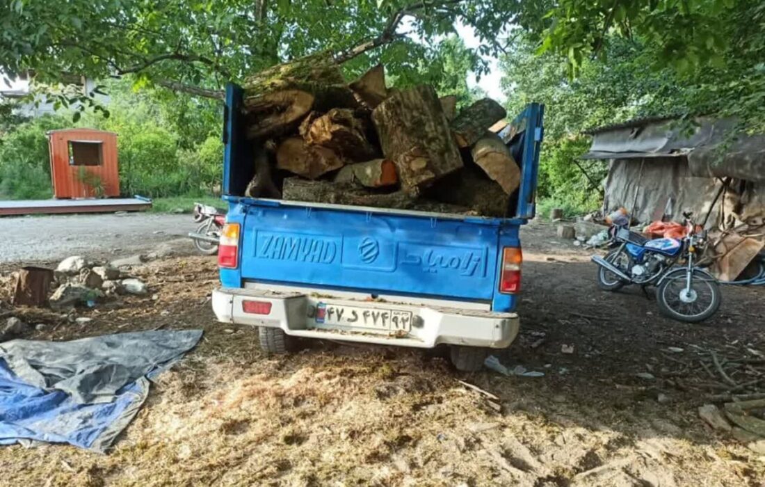 انهدام 30 باند قاچاق چوب سازمانیافته در مازندران به دستور باقری